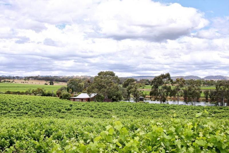 Barossa Valley Stonewell Cottages & Vineyards Retreat מראה חיצוני תמונה